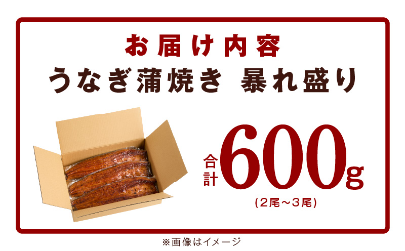 うなぎ 蒲焼き 暴れ盛り 合計 600g【鰻 真空パック 簡単調理 訳あり サイズ不揃い 人気 惣菜 うな重 うな丼 ひつまぶし にも】 G2935