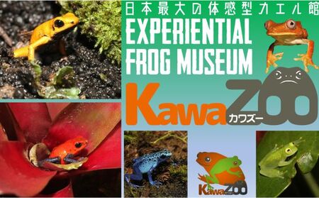 パスポート イズー カワズー 大人2名 ペア パスポート