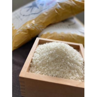 ふるさと納税 玉城町 令和7年産　コシヒカリ　単一原料米　特選米　10kg |  | 01