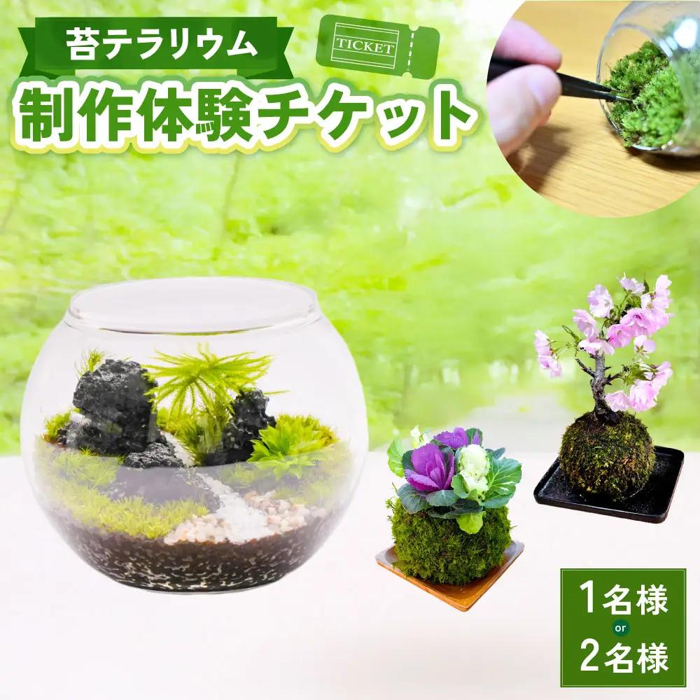 苔テラリウムの制作体験チケット 1名様 苔玉 ワークショップ 苔 コケ 植物 
