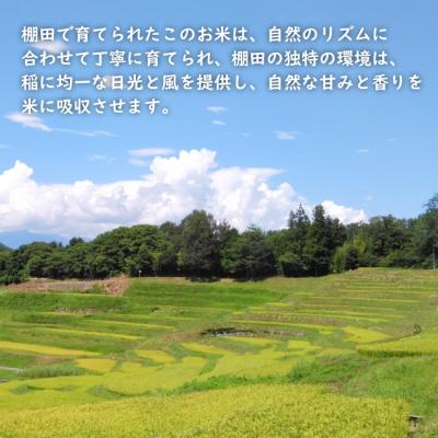 ふるさと納税 淡路市 健幸農園の棚田米 10kg　ak29019 |  | 01