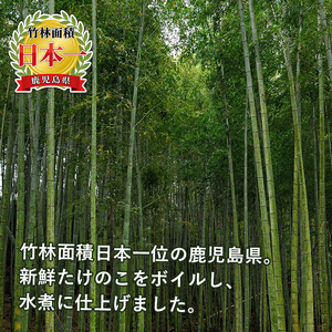 訳あり九州産 たけのこ水煮 200g×8P 計1.6kg 【マツバラ】 i535