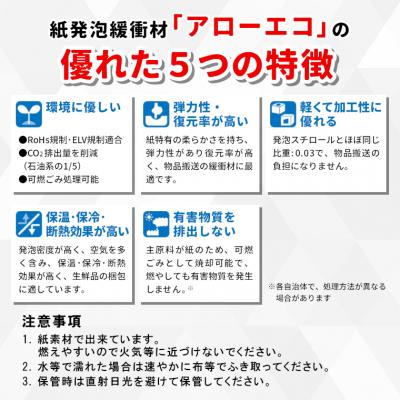 ふるさと納税 東白川村 アローエコマットレス2 防災用品 防寒グッズ 断熱シート 使い捨て 防災 防災マット 防災グッズ |  | 01