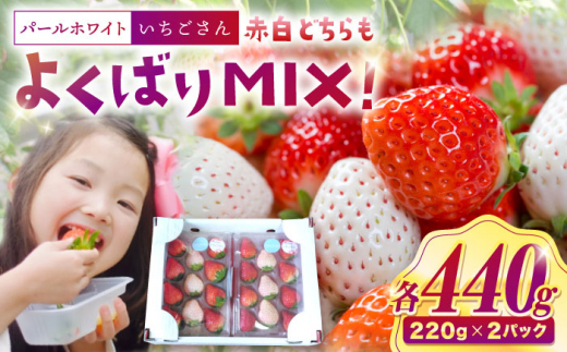 【4月発送】【佐賀県産いちご】パールホワイト＆いちごさんMIX 約220g×2パック【株式会社IMKCorporation】 [IBX024-5]