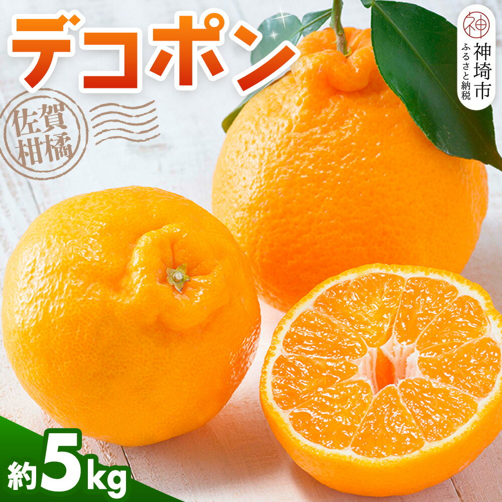 【ふるさと納税】【令和8年2月より発送】佐賀県産柑橘『デコポン』約5000g【果物 フルーツ でこぽん みかん 柑橘 ジューシー 濃厚な甘み ふるさと納税】(H108112)