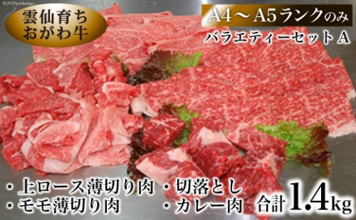 雲仙育ち おがわ牛 バラエティーセットA（A4～A5ランクのみ使用）[焼肉おがわ 長崎県 雲仙市 item2105]
