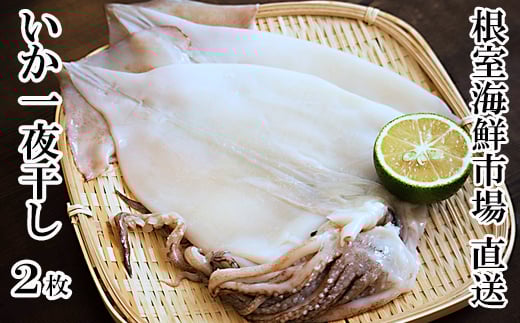 
            G-28079【12/10まで年内配送】 根室海鮮市場＜直送＞【北海道産】いか一夜干し2枚
          