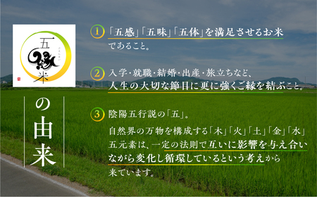 五縁米5 kg　こしひかり お米 ごはん コシヒカリ 白米 5キロ 産地直送 愛知県 田原市 