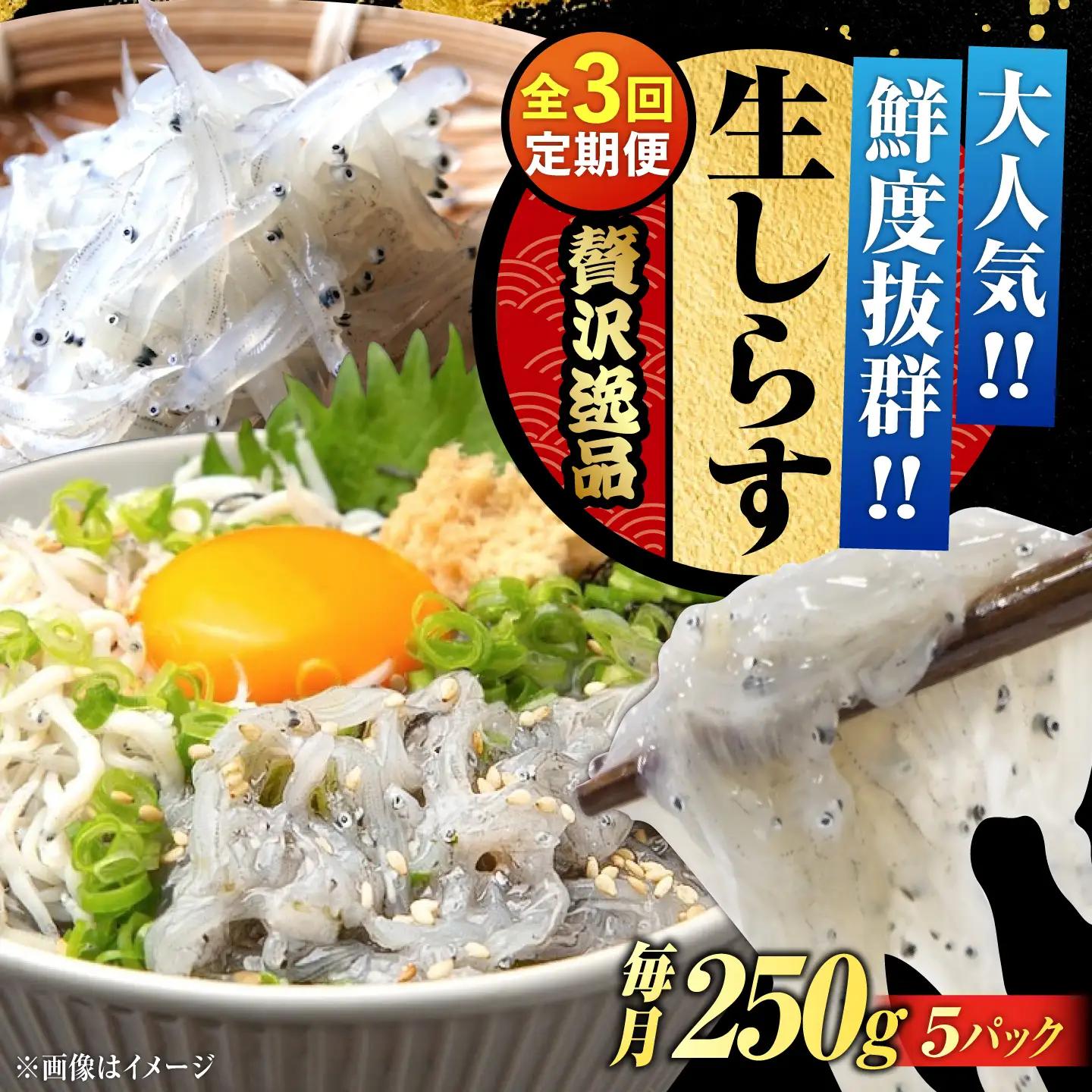 【全3回】冷凍生しらす50g×5個 しらす[XCN011]