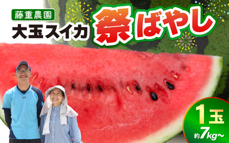 【先行予約】藤重農園の大玉スイカ『祭ばやし』 1玉（7kg～） ≪満足度高い大きなスイカ≫／ 果物 フルーツ 西瓜 すいか ギフト 農家直送 美肌 ビタミン豊富 福井県 あわら市 なんとリコピンはトマトの1.5倍！ ※2025年6月中旬以降順次発送