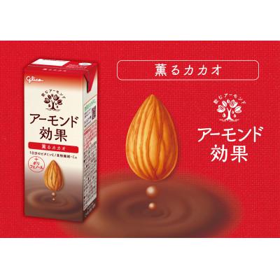 ふるさと納税 朝倉市 アーモンド効果 薫るカカオ　200ml×12本×2箱