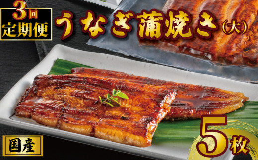 国産うなぎ蒲焼き タレ・山椒付き 5枚 1枚約110g 定期便3回  うなぎ 鰻 蒲焼 定期便 うな重 鰻丼 うな丼 ひつまぶし 土用の丑の日 土用丑 魚 海鮮 魚介類 肉 冷凍 真空パック 個包装 小分け おつまみ おかず 惣菜 ビール 酒 焼酎 日本酒 ウイスキー  お取り寄せ ギフト プレゼント 贈答 贈答用 贈り物  お中元 お歳暮 母の日 父の日 敬老の日 千葉県 銚子市 石毛川魚店