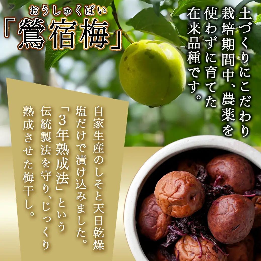 徳重ばあちゃんがつくった昔ながらの3年熟成梅干〔AD-49-001-1300g〕_(都城市) 500g×2と300gの計1.3kgのうめぼし 鶯宿梅(おうしゅくばい) すっぱい梅干し 梅ぼし 伝統農法