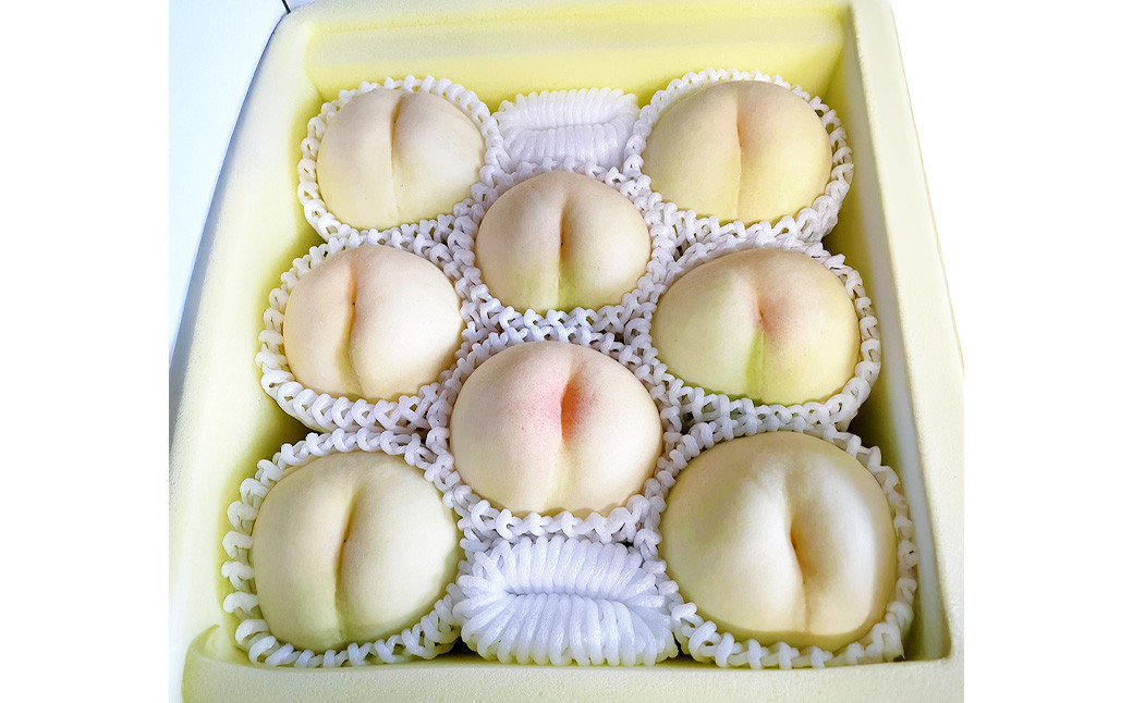 
            【先行予約】 とろける果肉とたっぷり果汁の岡山の白桃・おかやま夢白桃 2kg箱（約5個～9個） 【2026年8月発送予定】 ／ 桃 もも モモ はくとう おかやまゆめはくとう ゆめはくとう 果物 くだもの フルーツ デザート 冷蔵
          