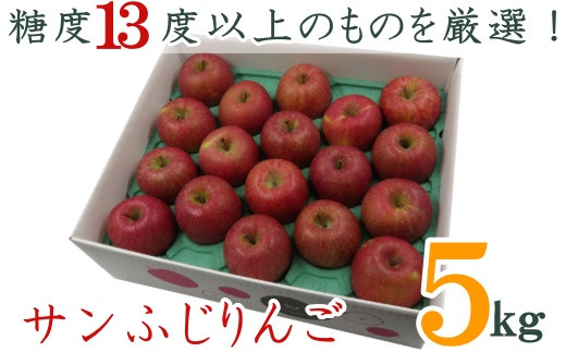 
            【2025年11月～12月発送】糖度13度以上厳選！サンふじりんご5kg_H127(R7)
          
