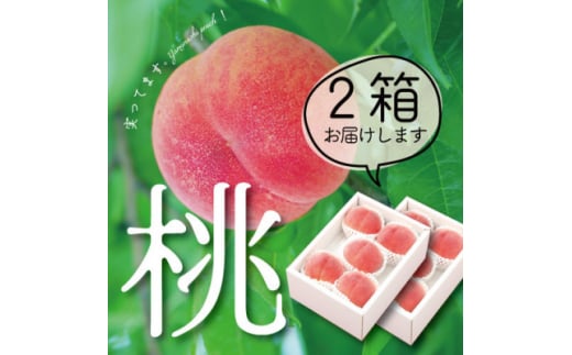 ＜2025年 先行受付＞山梨直送!完熟桃5～7玉  約1.5kg×2箱 約3kg ギフト化粧箱入り【1485555】