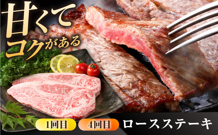 【肉のプロが厳選！】【全6回】佐賀県産和牛 贅沢定期便【株式会社いろは精肉店】 [IAG069]