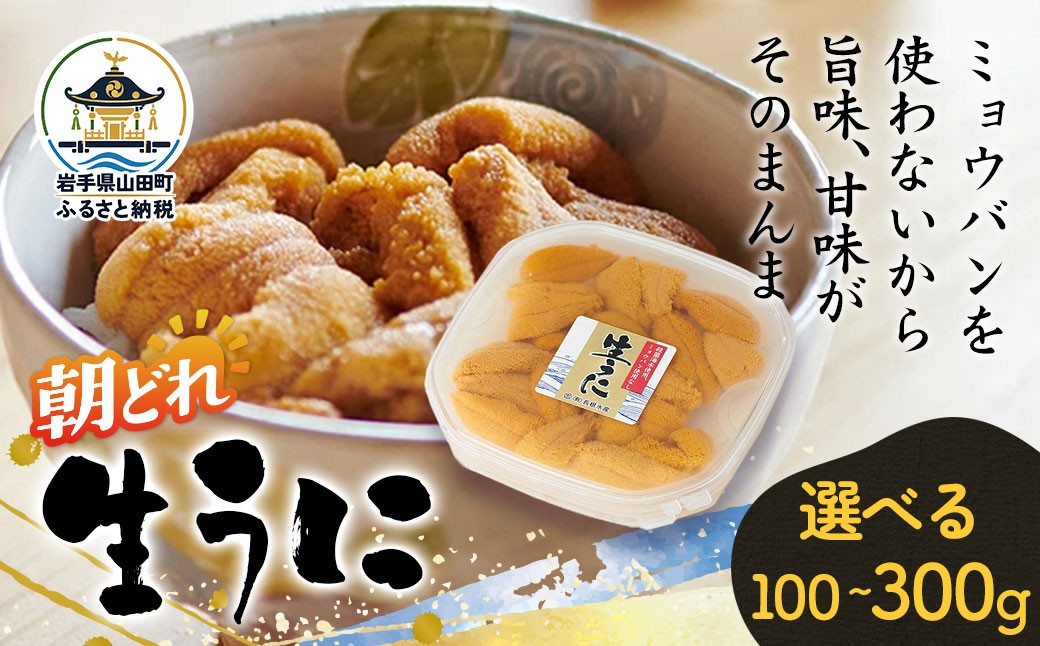 
                  【無添加】生うに 100g 1～3パック 三陸産 長根水産 【2027年5月中旬以降発送 】 国産 三陸山田 岩手県 山田町 三陸 旬 うに 無添加 ウニ 雲丹 うに丼 無添加ウニ キタムラサキウニ 特選 ミョウバン不使用
                