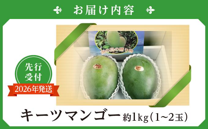 (先行受付)【2026年発送】キーツマンゴー 南城市 約1kg (1～2玉)