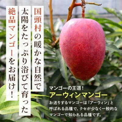 【2025年6月～8月の発送】秀品アーウィンマンゴー2kg(3～6玉)【配送不可地域：離島】