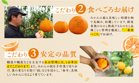 ≪先行予約≫ 濃厚ハウスみかん『蜜ツ星』秀品２kg（Ｌサイズ18玉）