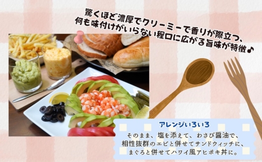 完熟国産アボカド「御厨(みくりや)アボカド」2玉～3玉( アボカド 国産 御厨アボカド 果物 )【149-0002】