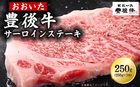 豊後牛サーロインステーキ 250g(250g×1枚)　D5