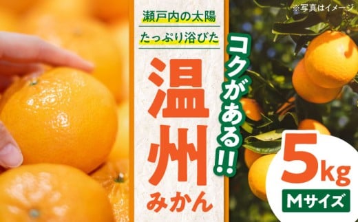 【先行予約】【11月下旬から順次発送】 温州 みかん（南柑20号） 5kg 愛媛県大洲市/永沼農園[AGAW001] 先行予約 みかん ミカン 蜜柑 温州ミカン 温州みかん 果物 くだもの フルーツ 愛媛県産 大洲市産 産地直送 おすすめ 人気 お取り寄せ 送料無料 贈答 ギフト