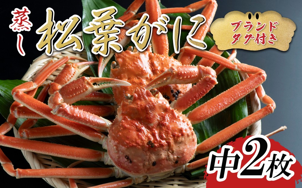 
                  【蒸し】ブランドタグ付き松葉ガニ 中2枚 2026年11月～順次発送｜鳥取 松葉がに かに【22053】
                