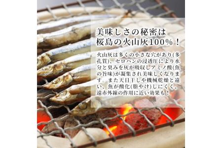 ＜高級手作り干物＞桜島灰干し詰め合わせ！鹿児島県湧水町産にじますの他、季節のお魚を計20袋お届け！ 干物 魚 焼き魚 おかず 晩御飯 晩ごはん 朝食 朝ごはん 朝ご飯 和食 定食 にじます ニジマス 
