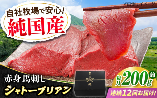 【全12回定期便】『純国産』熊本の味 赤身 馬刺し シャトーブリアン 約200g チルド 冷蔵 ブロック【有限会社 九州食肉産業】 [AYCN064]