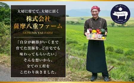 AS-899 かごしま黒豚モモ肉スライス 500g ×隔月3回定期便
