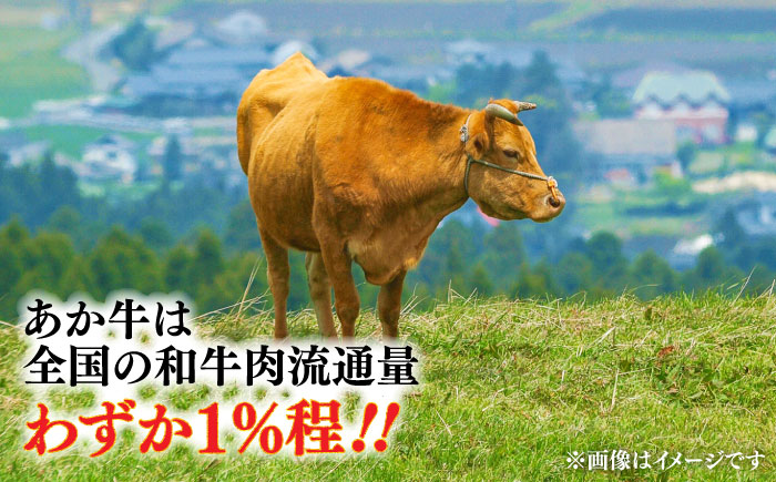【全12回定期便】熊本和牛あか牛ハンバーグセット　約120g×6個 / 菊陽町 あかうし 熊本県 肉 にく niku ブランド 旨み【有限会社　三協畜産】 [BHAS035]
