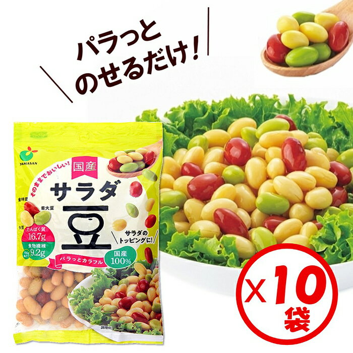 【ふるさと納税】「パラっとカラフル 国産サラダ豆 120g」×10袋 ※離島への配送不可