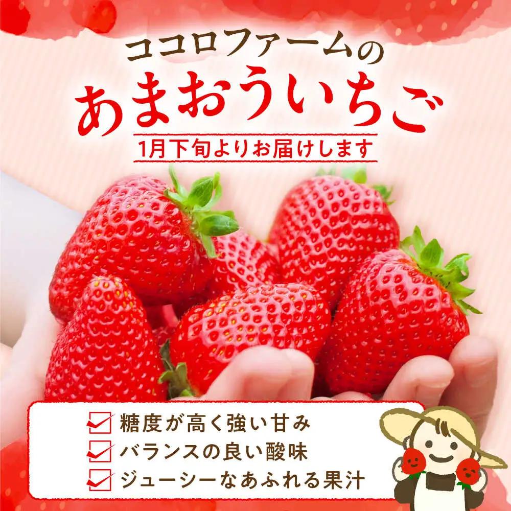 【先行予約】ココロファームの濃厚あまおう 270g×2P VAE007 いちご あまおう