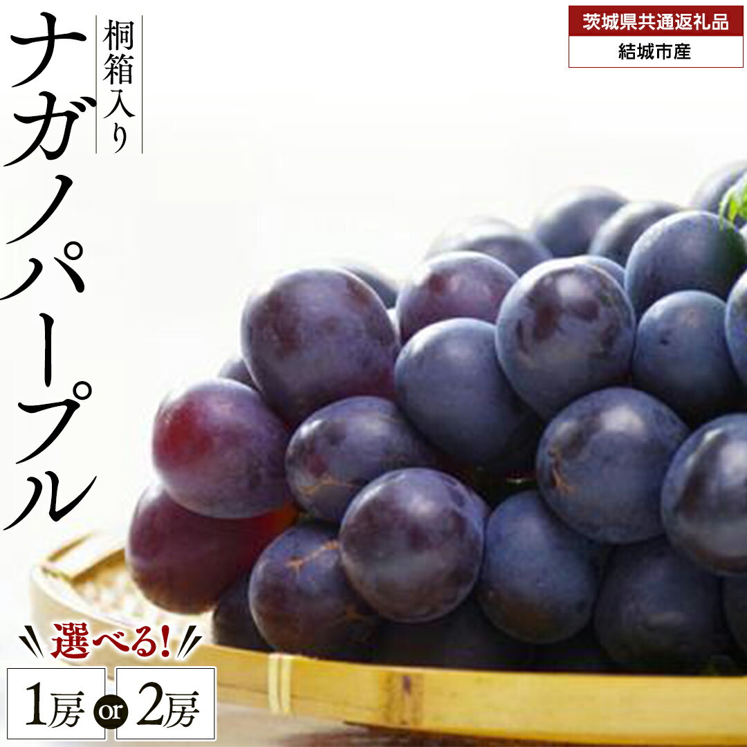 【ふるさと納税】＼ 選べる房数 ／ 【 桐箱入り 】 ナガノパープル 1房 2房 【8月から発送開始】（茨城県共通返礼品 [ぶどう]：結城市産） 果物 フルーツ マスカット ぶどう ギフト 贈答 プレゼント 桐箱