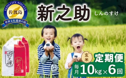 佐渡島産【6か月定期便 新之助】佐渡島産 新之助 玄米 合計60kg（10kg（5kg×2袋）×全6回）令和8年産 新米 単一原料米 | 新潟県産新之助 新潟産新之助 佐渡産新之助 しんのすけ 新之助 お米 米 玄米 げんまい 水稲うるち玄米 ブランド米 おこめ コメ 10キロ にいがた さど 新潟県 佐渡市