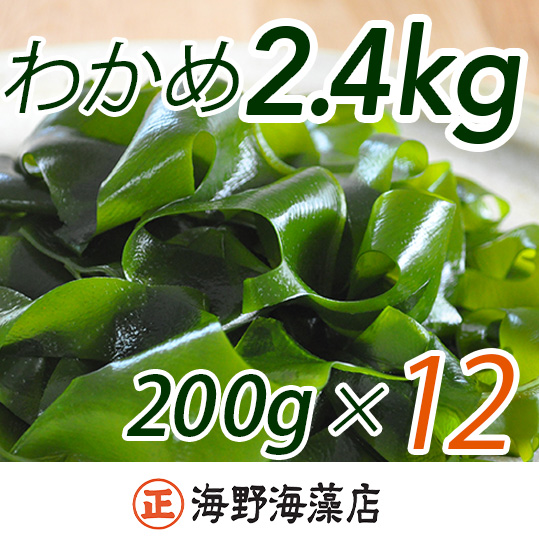 しゃきしゃき 湯通し塩蔵わかめ 2.4kg （200g×12パック） 国産 三陸産 海野海藻店 わかめ