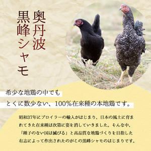 朝じめ本地鶏 京都奥丹波が育む 黒峰シャモ 1羽丸ごとセット / 鶏肉 地鶏 国産 綾部市 / 株式会社For youふぁーむ［BSCA005］