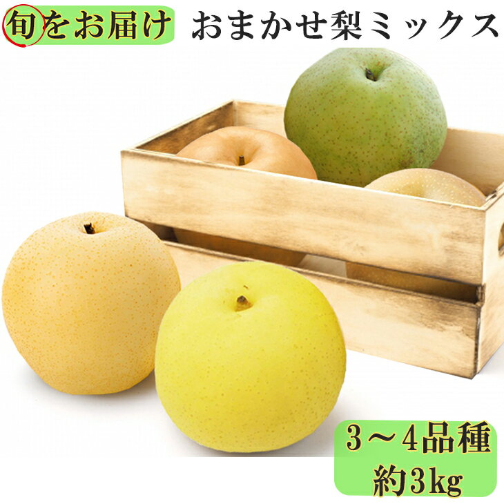 【ふるさと納税】《先行予約》【旬をお届け】おまかせ梨ミックス3〜4品種（約3kg） 本宿果樹園