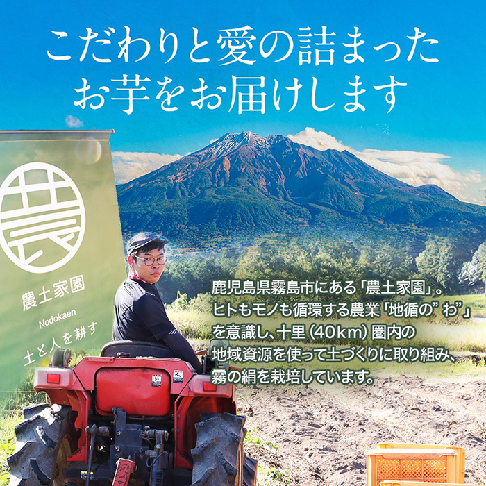 K-278-A 《先行予約受付中！2024年12月～2025年3月中旬迄に発送予定》鹿児島霧島のさつまいも「霧の絹」2kg【オーガランド】