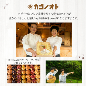 四万十ショコラシュトーレン2本（400g×2）　Ikg-114／ シュトーレン スイーツ 焼き菓子 ドイツ菓子