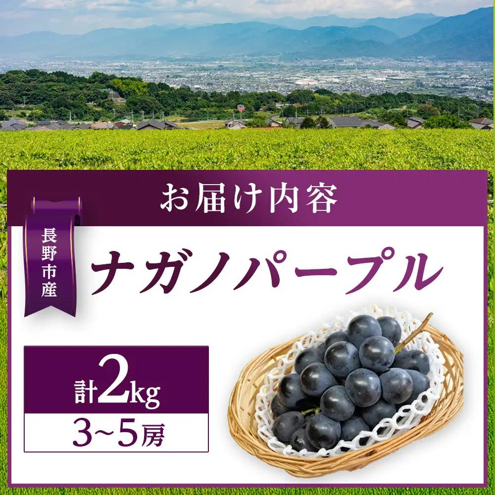 金オ岡村青果株式会社 長野市産 ナガノパープル2kg【2026年9月以降出荷分】ナガノパープル  | ぶどう ぶどう