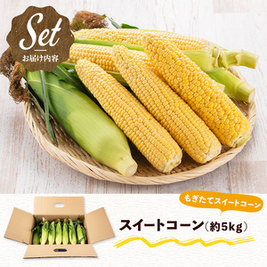 ＜期間限定・数量限定！2025年6月中旬以降順次発送予定＞スイートコーン (約5kg) とうもろこし トウモロコシ コーン 朝採り 朝採れ 国産 とうきび 甘い 生でも美味しい 産地直送【man204