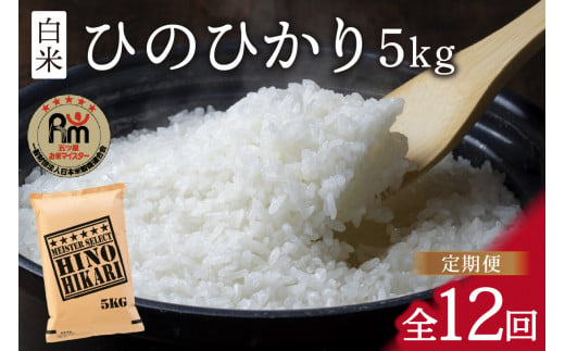 【10月下旬から順次発送】 令和6年産 【定期便】 ひのひかり 白米 ５kg×12回　B696