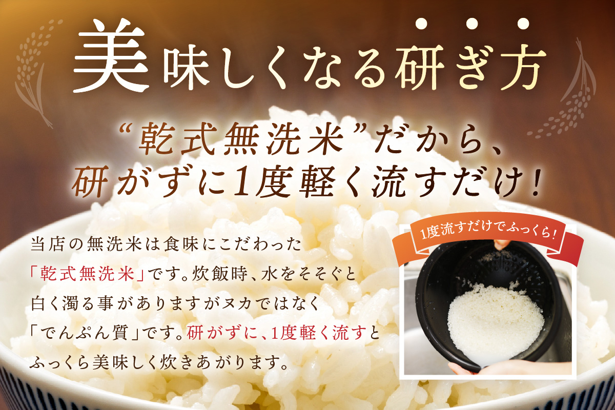 令和7年産 【定期便】《無洗米》さがびより ５kg×３回 999-B789