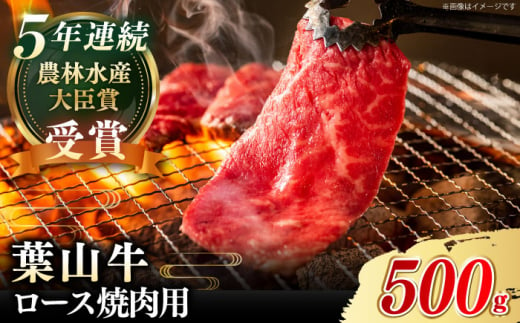 【葉山牛】500g　ロース焼肉用 ／ 牛肉 黒毛和牛 神奈川県 特産品【葉山牛ステーキレストラン 角車】 [ASBD004]