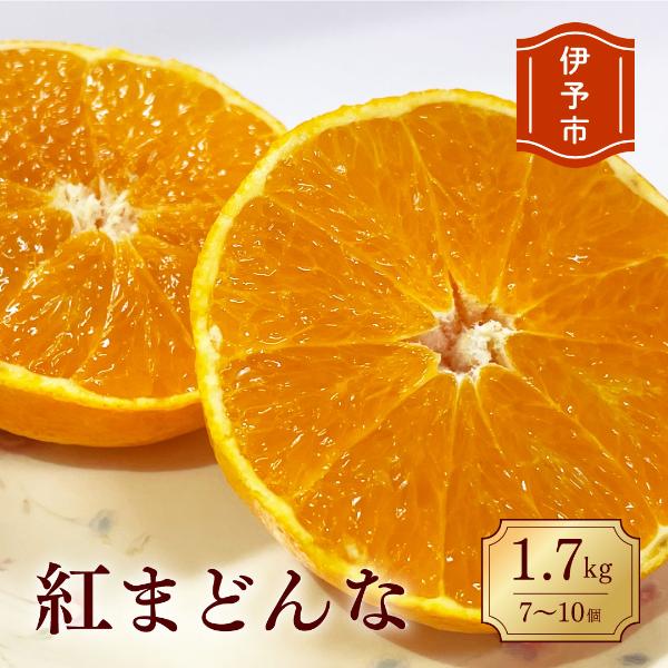 【先行予約】【数量限定】紅まどんな 1.7kg（6～10個）愛果28号 愛媛果試第28号 みかん 柑橘 人気 愛媛 伊予市＜2024年11月下旬から順次発送＞｜B36