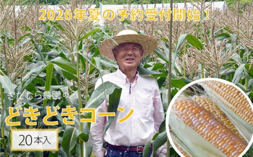 2026年夏の早期予約受付開始！きたむら農園『どきどきコーン』×20本セット（約8～8.5kg相当）生で食べられる信濃町名産とうもろこし／スイートコーンの新定番品種 令和8年7月下旬～8月下旬に出荷予定 【長野県信濃町ふるさと納税】