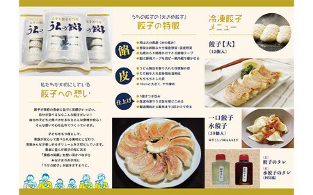 051-1167x1 うちの餃子 焼き餃子 2袋セット 合計24個 餃子のタレ付き 餃子 ぎょうざ ギョウザ  冷凍 おかず おつまみ 国産 豚肉 中華